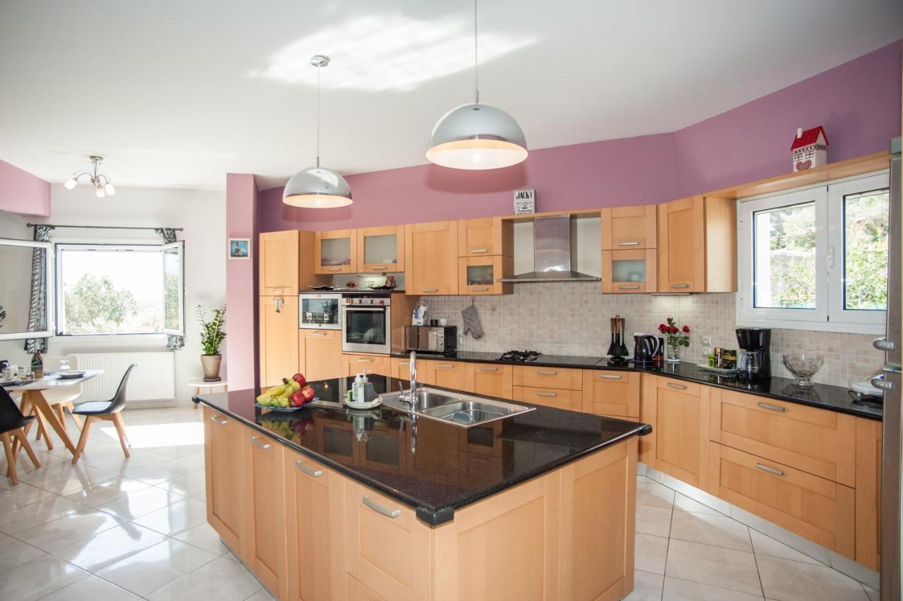 Nikos Apartments Spacious And Panoramic Argostoli  Buitenkant foto